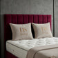 Aether Divan Bed