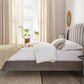 Aurelia Winged Upholstered Bed Frame