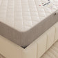 Endure 13.5 Bonnell Spring  Mattress with Comfort Layers - Essentials by DS Living