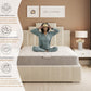 Haven 13.5 Bonnell Spring with Memory Foam Layers Mattress - Essentials by DS Living