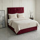 Kingsley Upholstered Divan Bed