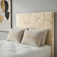 Muse Divan Bed